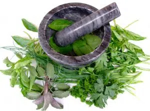 herbal breast enhancement